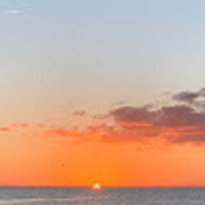 Meet your Posher, Ainsley